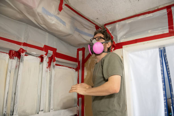 Best Mold Remediation for Healthcare Facilities  in Stowell, TX