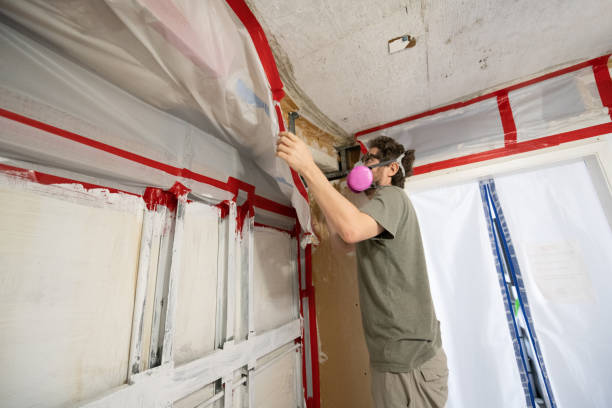 Best Mold Damage Restoration  in Stowell, TX
