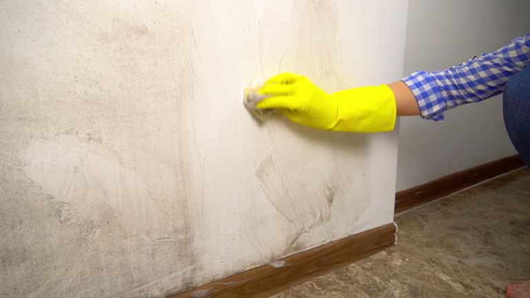 Best Industrial Mold Remediation  in Stowell, TX